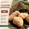 Szablona PDF na uszycie ziemniaka na maszynie do szycia lub ręcznie.