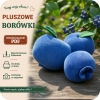 Szablon PDF na uszycie pluszowej jagody, borówki - wykrój krawiecki