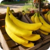 Wykrój krawiecki PDF na uszycie pluszowego banana