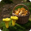 Pluszowe grzyby - szycie krok po kroku - szablon krawiecki PDF