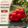 Szablon krawiecki PDF na pluszową malinę