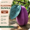 Wykrój krawiecki PDF na pluszową śliwkę - szycie śliwki