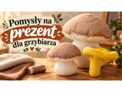 Pomysły na prezent dla grzybiarza